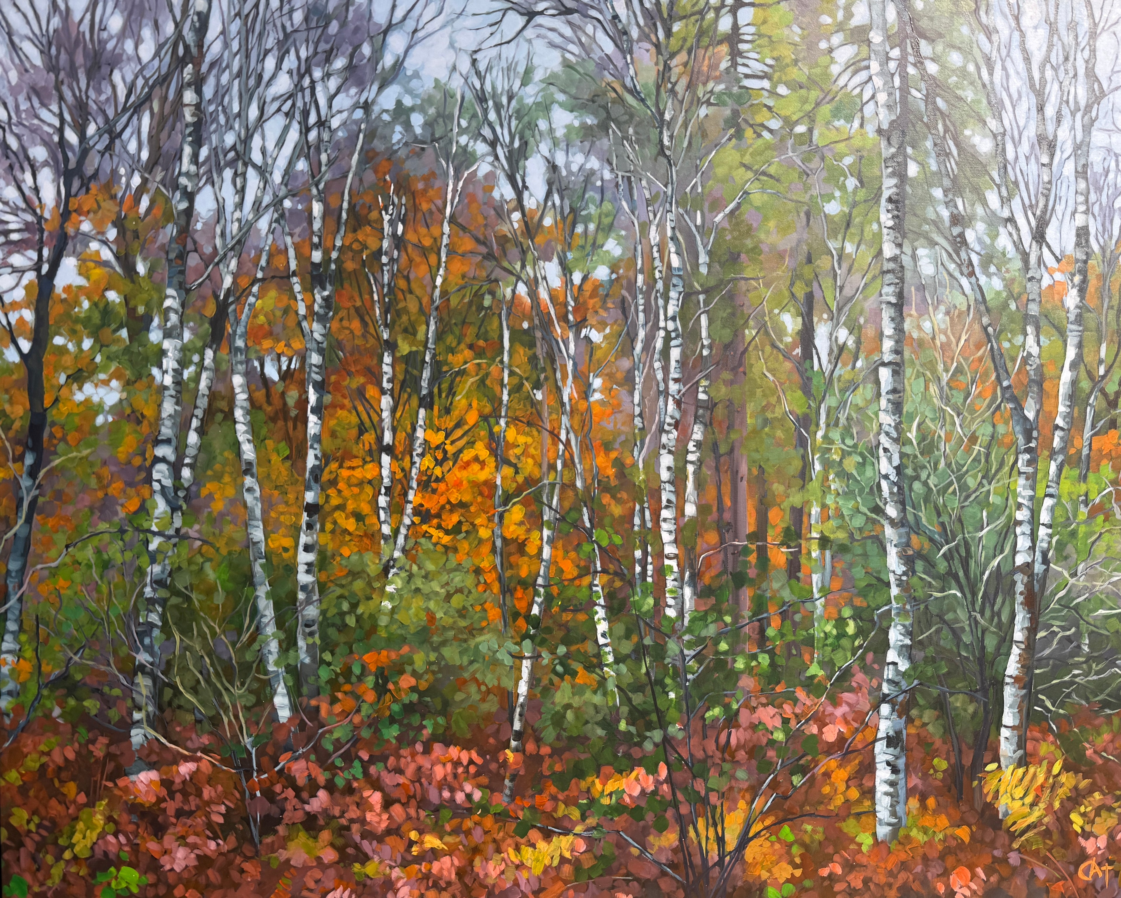 Renewal in Silver By Cat Croxford