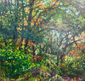 Old Growth By Cat Croxford