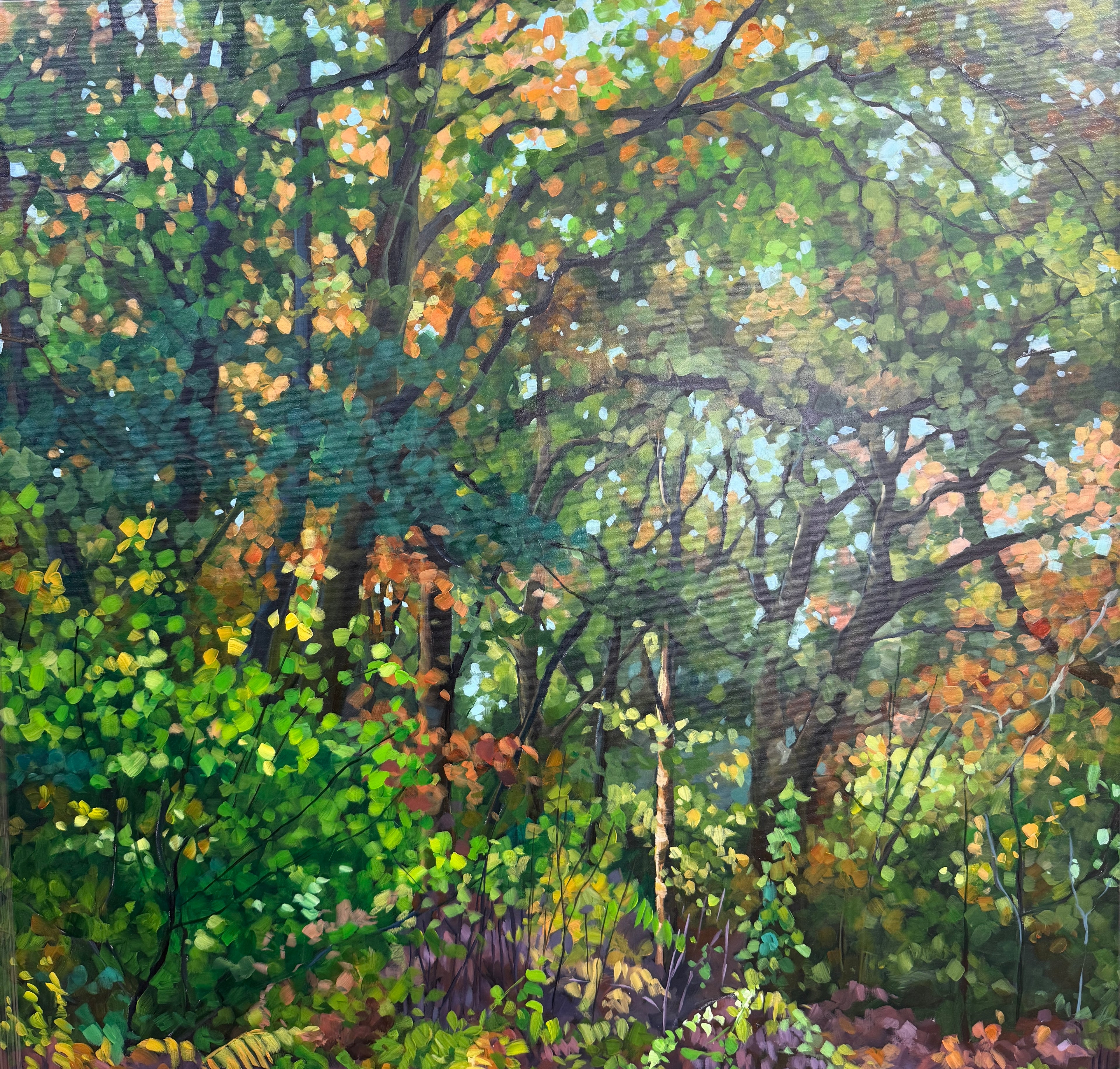Old Growth By Cat Croxford