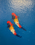 AJ Burns - Exploring Together