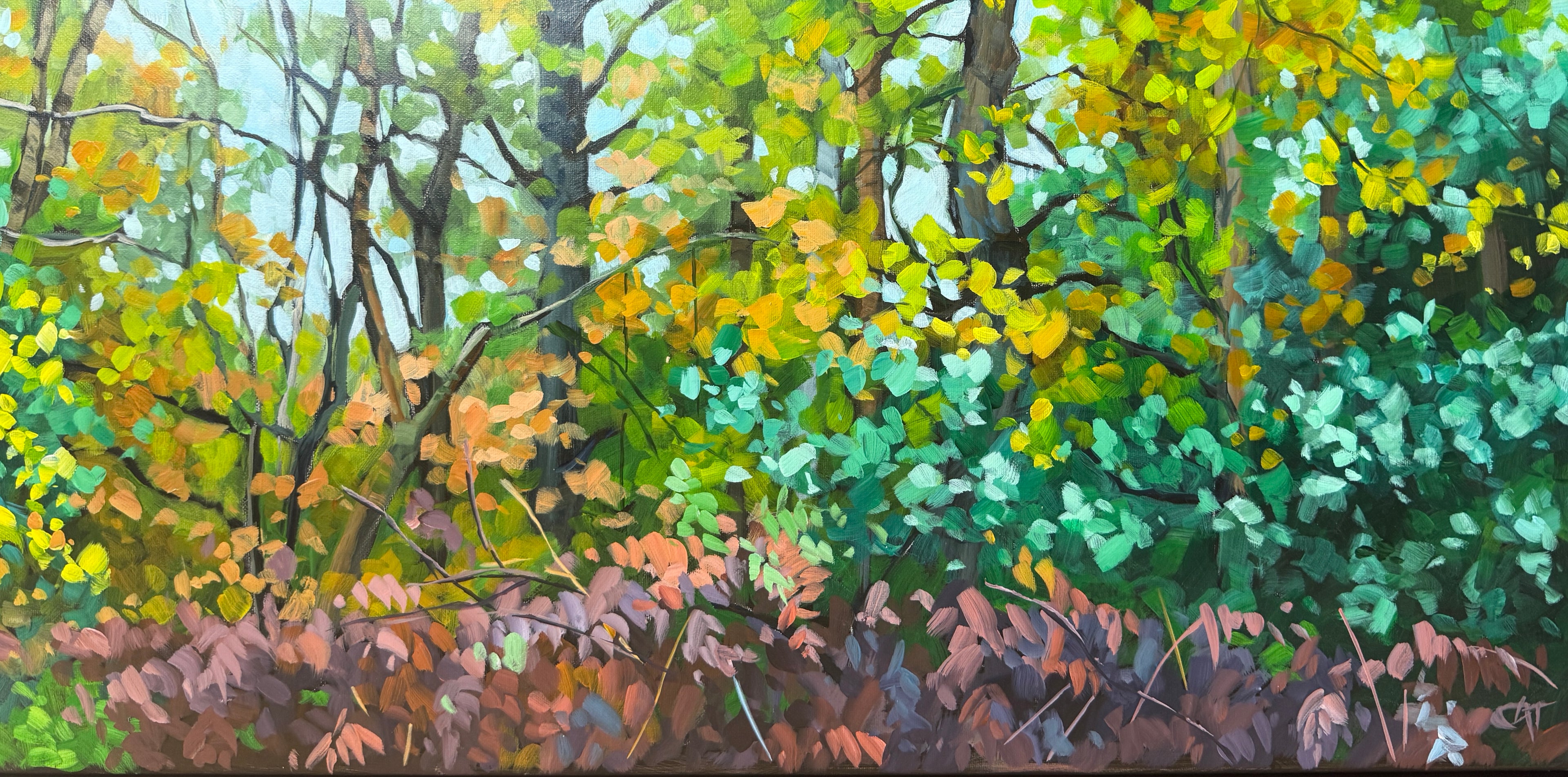 Into the Bracken By Cat Croxford